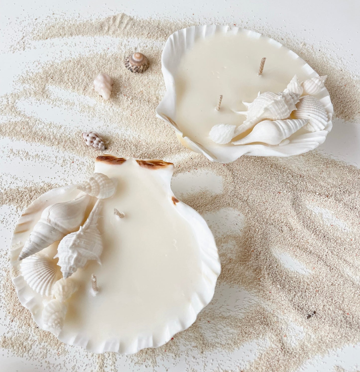 Large Shell Candle