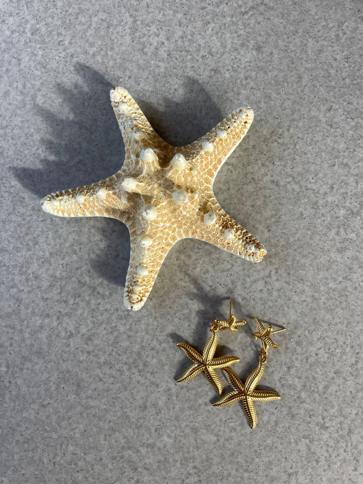 Seastar Drop Studs