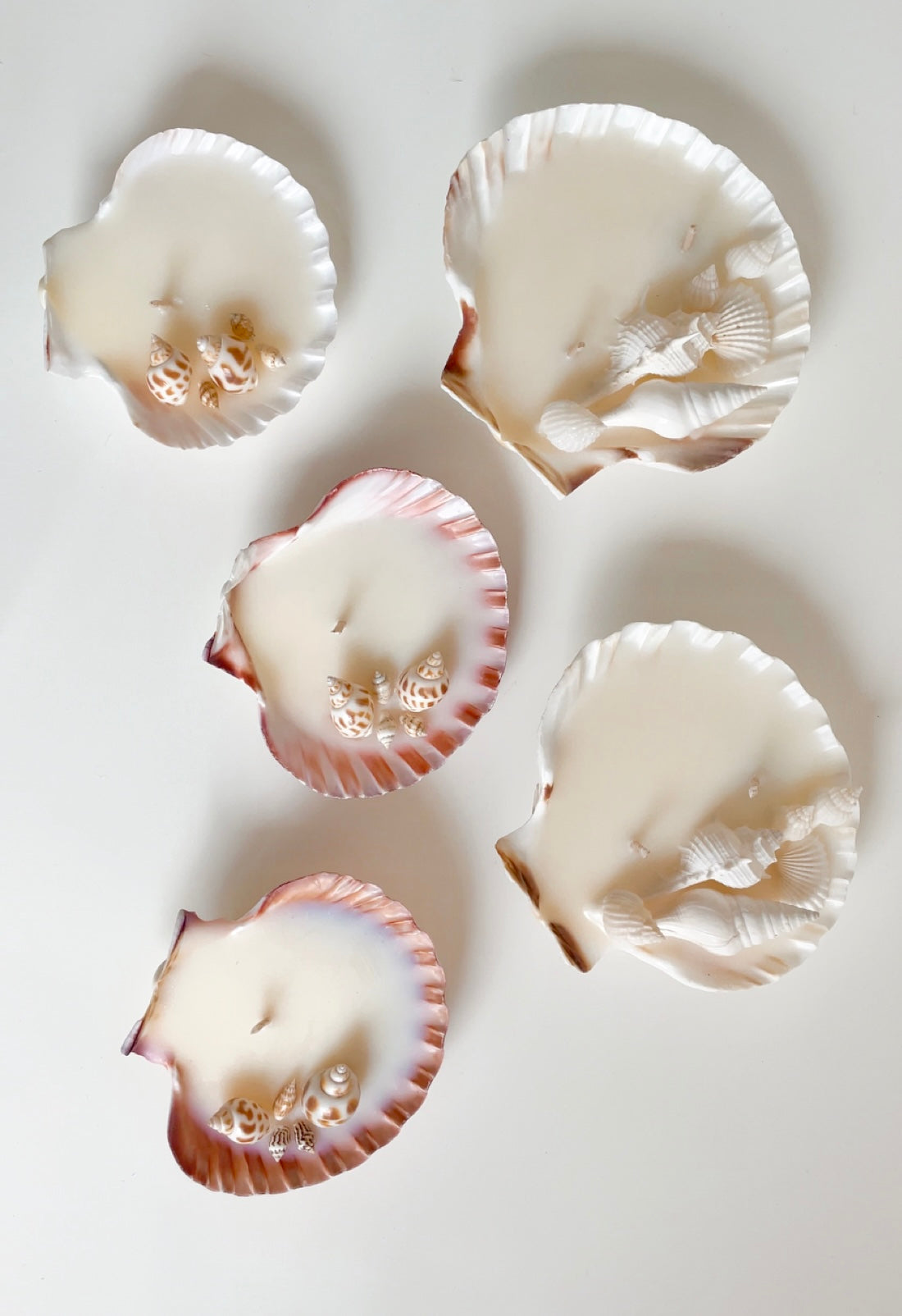Small Shell Candle