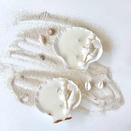 Large Shell Candle